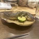 サワーとお料理 れもん - 鹿児島県志布志市の鮎