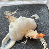 サーラ アマービレ - 