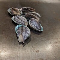 神楽坂 鉄板焼 向日葵 - 