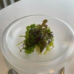 レストラン オオツ - ステーキと合わせたサラダ