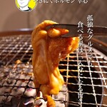 やきにくホルモン 幸心 - 