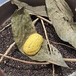 クイントカント - 