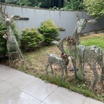 レストランラシェット - 