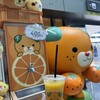 ANAフェスタ - 