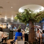 ロータスパレス - 