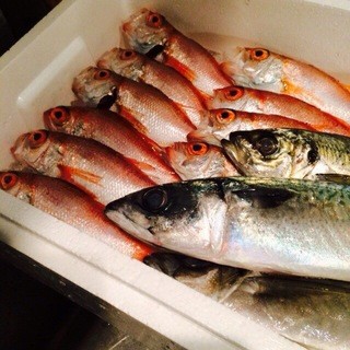 ヤマノワサビ_0