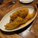 AGNEYA forged in fire - 