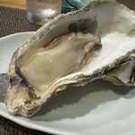 魚料理・もつ鍋  山咲き - 