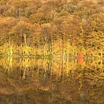 猿倉温泉 - 蔦沼展望台からの眺望