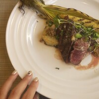 トラットリア イル レガーロ - 