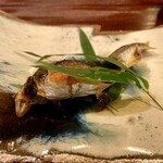 霞町 やまがみ - 子持ち鮎