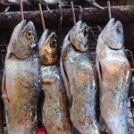 いろり焼 大柳 - 捌きたてでピクピクしてる新鮮な山女魚