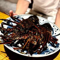 日本料理FUJI - めちゃめちゃ立派な伊勢海老vv