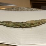 ぬま田 - 【 しまささいんげん 】