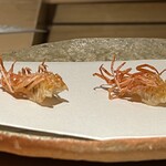 ぬま田 - 【 車海老の頭 】