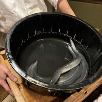 日本料理 梅林 - 活饅