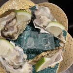メキシコ食堂 ガラパゴ - 