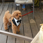 T.Y.HARBOR - 正装でおねだり・・