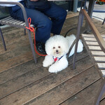 T.Y.HARBOR - Are you having fun?