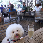 T.Y.HARBOR - おかしいわね、ビーチェ・・