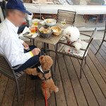 T.Y.HARBOR - ベアトリーチェのおやつが！