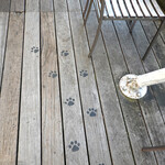 T.Y.HARBOR - ブレッドワークスへと続く道