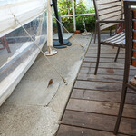 T.Y.HARBOR - スズメが一羽