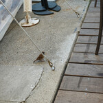 T.Y.HARBOR - Nothing left?