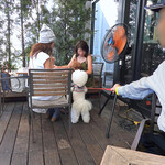 T.Y.HARBOR - トイプーに直行して〜♬