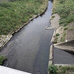 町田 うなぎ流木 - 境川