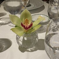 シェ・イノ - 