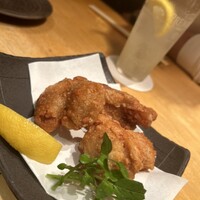 鳥ばか一代 - 