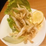 居酒屋 ちろり - 