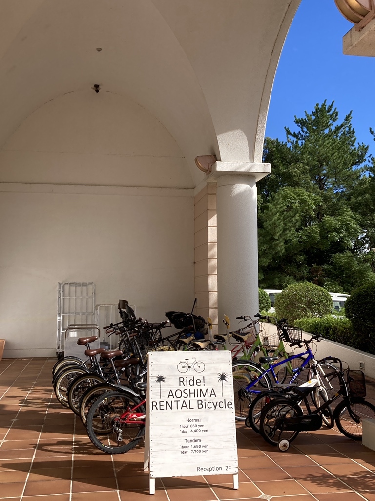 写真 : ANA ホリデイ・イン リゾート 宮崎 （【旧店名】青島パームビーチホテル） - 子供の国/その他 | 食べログ