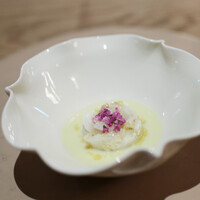 Itsuki - ２０２４年１０月再訪：愛知 墨烏賊　愛知 銀杏☆