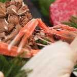 Itsuki - ２０２４年１０月再訪：手長海老☆