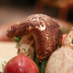 Itsuki - ２０２４年１０月再訪：松茸☆