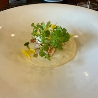DRAQUIRE - 