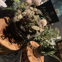 800°DEGREES ARTISAN PIZZERIA - 