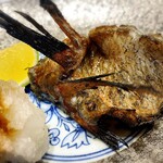 味勝鮨 - きんきの炭火焼