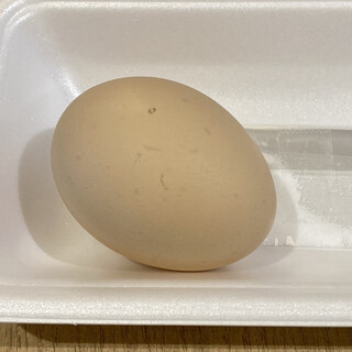 カフェテリア 海_1