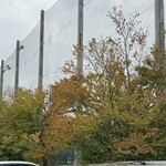 レイドバックバーガー - 