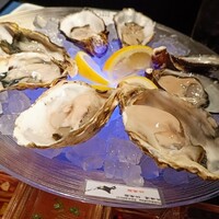 MAIMON GINZA - 