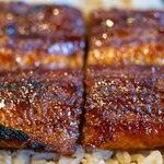 ちか定 - 2024.10 うな重