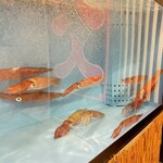 博多もつ鍋 安明 - 