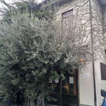 パーラー江古田 - 初見殺し？外観を。食べログ予習、役立ちました！