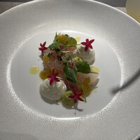 isolata - 