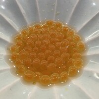 鮨 なんば 日比谷 - 