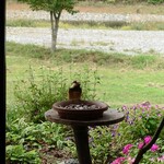 くつきそば 永昌庵 - ヤマガラさん