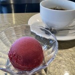 THE KOBECRUISE コンチェルト - 